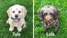 Tulo and Lola Tynan